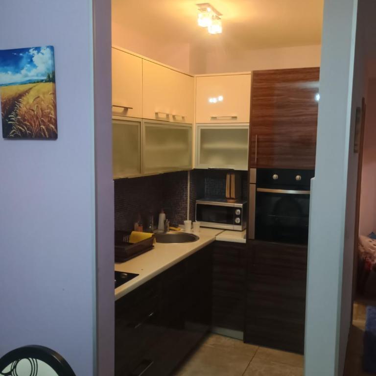 Dejan ZLATIBORSKI KONACI K15 Apartment 2 - Apartment - Ground Floor - 2