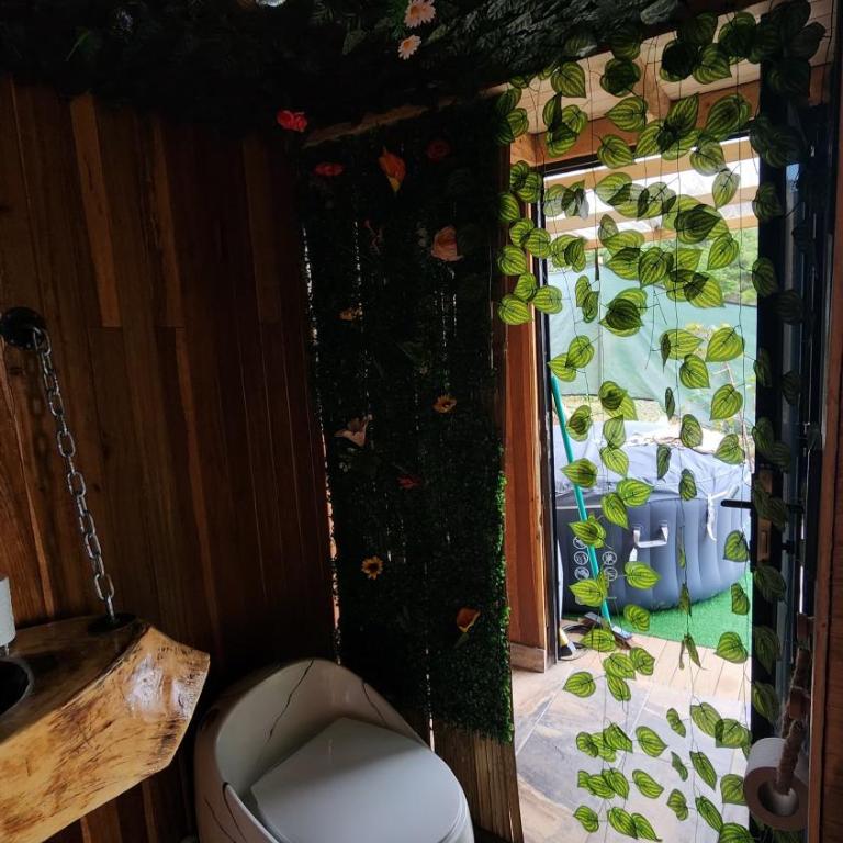 Aguapá Glamping - One-Bedroom Apartment - 2