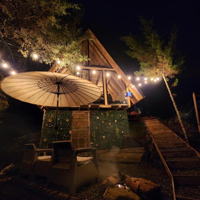 Aguapá Glamping - One-Bedroom Apartment - 1