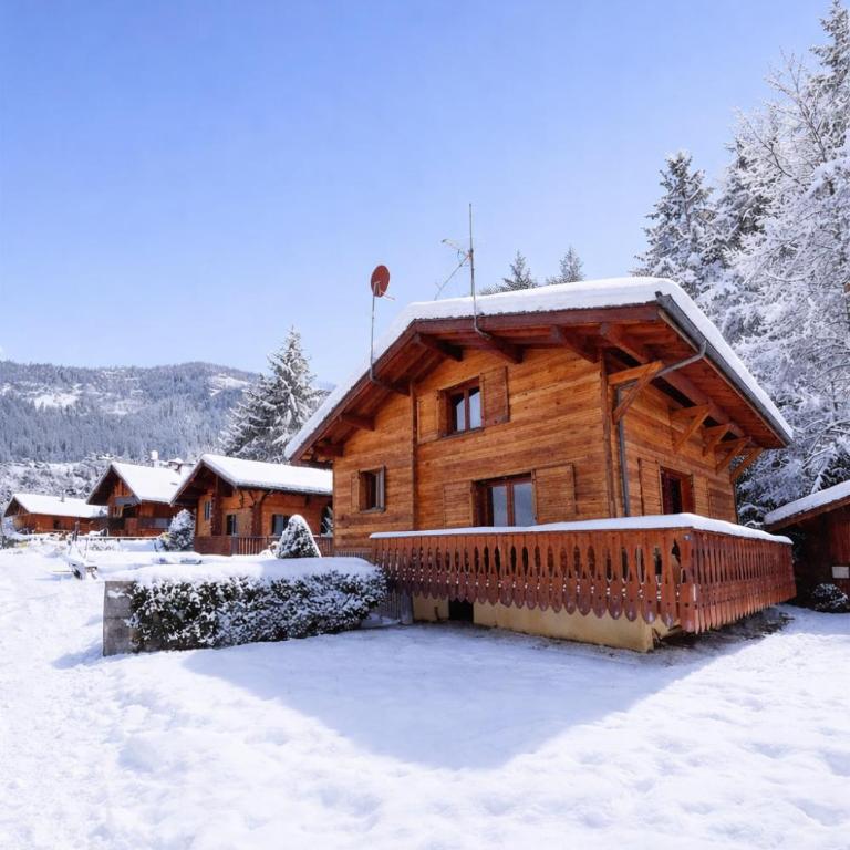 Chalet Le Saint Bernard - Sauna - Alp'in C - Châtel - Chalet - 2