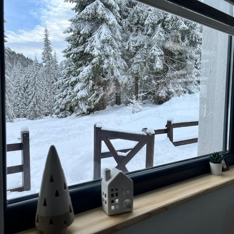 Chalet Pahulja - Two-Bedroom Superior Apartment - 19