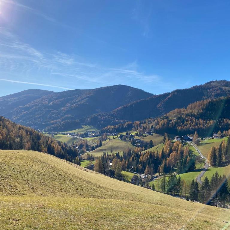 Oswald Lodge - surrounded by nature - Apartment mit 2 Schlafzimmern - 25
