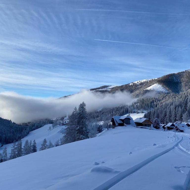 Oswald Lodge - surrounded by nature - Apartment mit 2 Schlafzimmern - 38