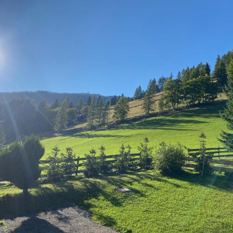 Oswald Lodge - surrounded by nature - Apartment mit 2 Schlafzimmern - 3