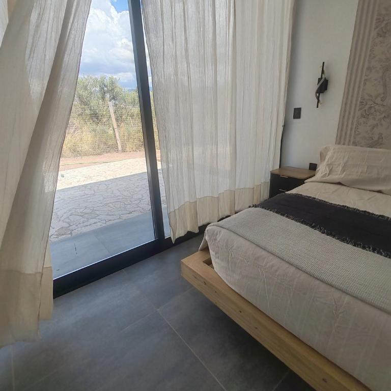 Riviera Mendoza - Superior Double Room - 5