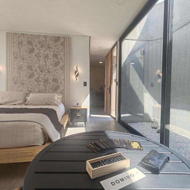 Riviera Mendoza - Superior Double Room - 7