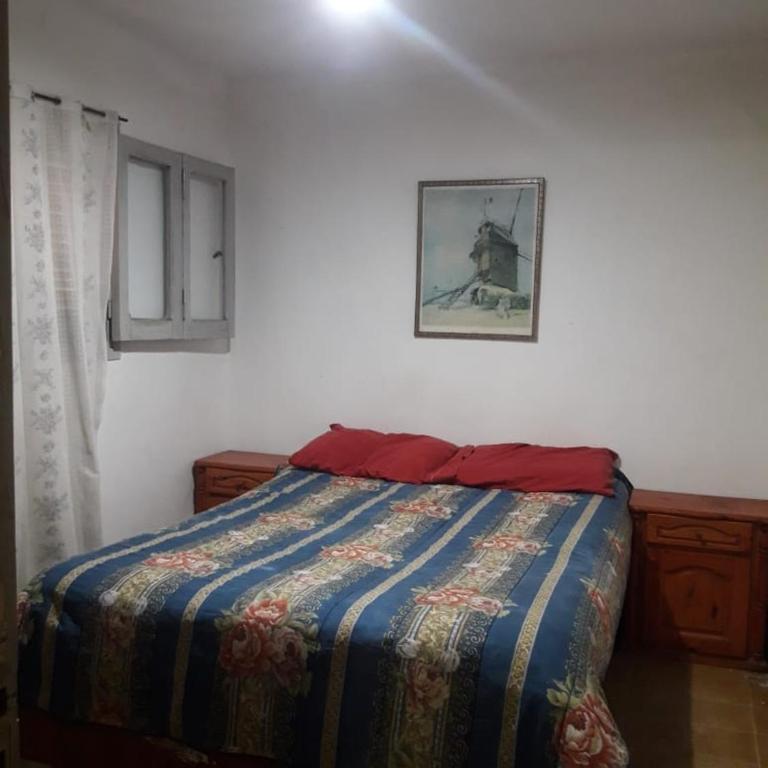 Alex Departamentos - Apartamento de 1 dormitorio - 4