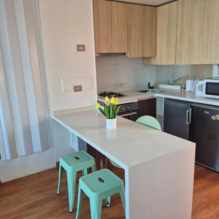 Laguna del Mar La Serena - One-Bedroom Apartment - 9