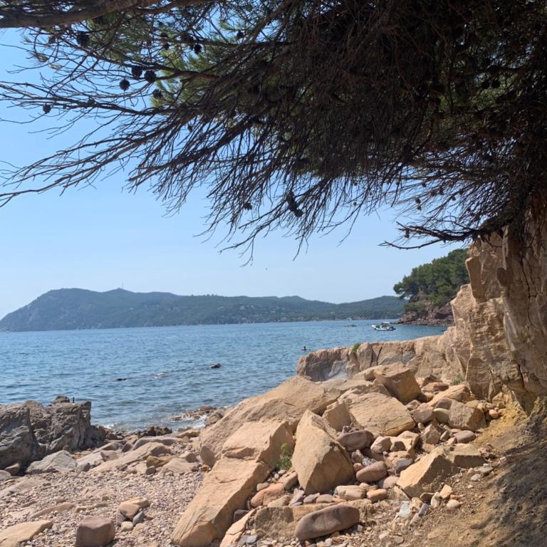 Studio calme 4 personnes 600 m de la plage sur la presqu'île de St mandrier proche toulon - Apartamento de 1 dormitorio - 21