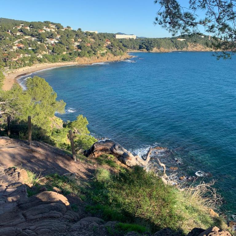 Studio calme 4 personnes 600 m de la plage sur la presqu'île de St mandrier proche toulon - Apartamento de 1 dormitorio - 22