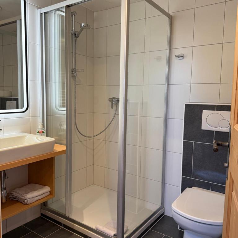 Appartement Schmid - Appartamento (2 Adulti) - 11