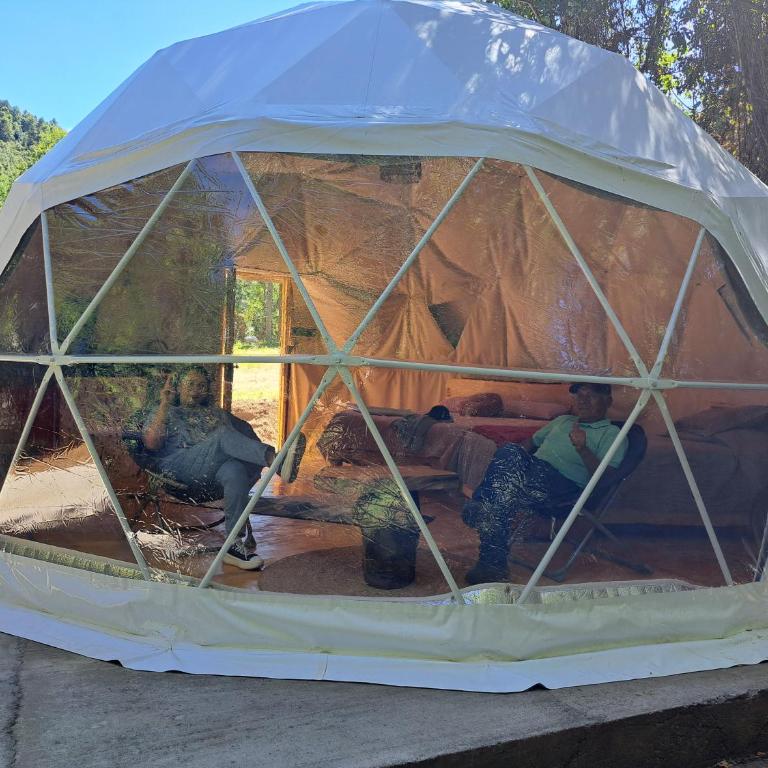 Domo Glamping en el bosque - Tent - 4