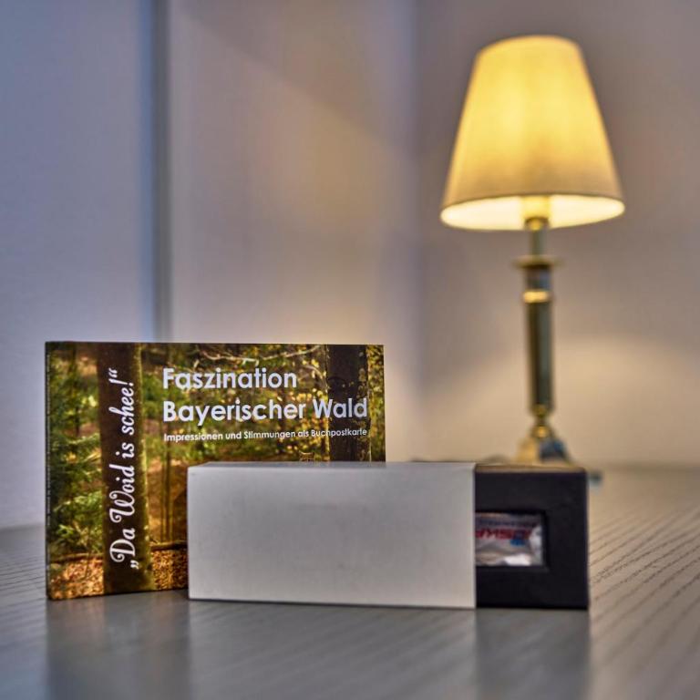Das Arber-Hotel am Rothbach - Doppelzimmer - 9