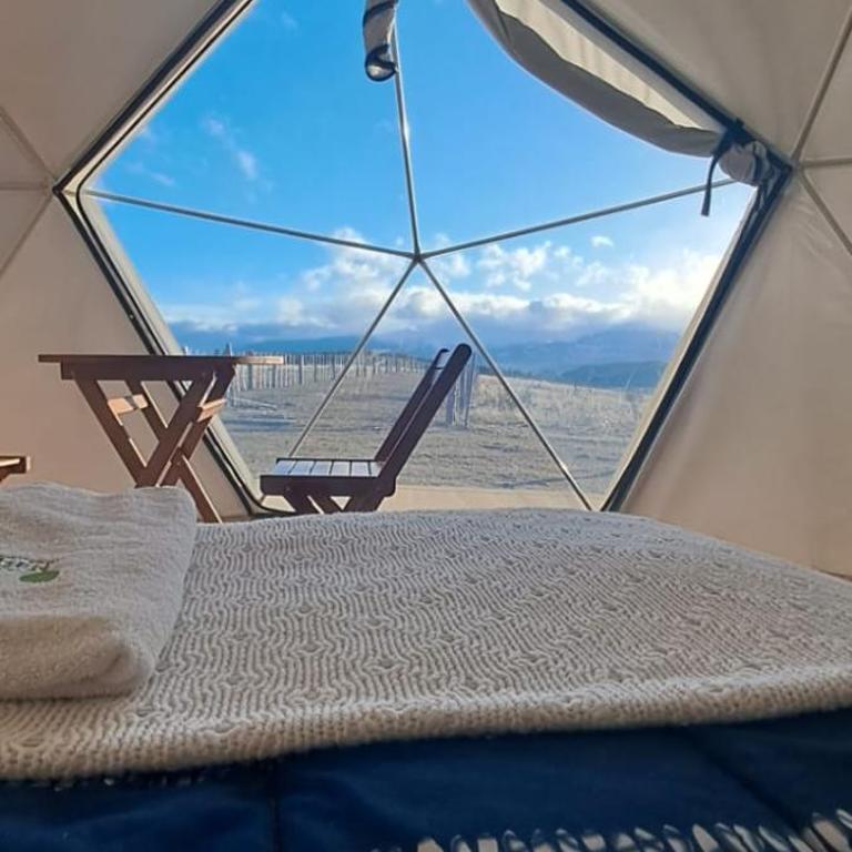 GLAMPING CABAÑA HOLMBERG - Deluxe Queen Room - 3