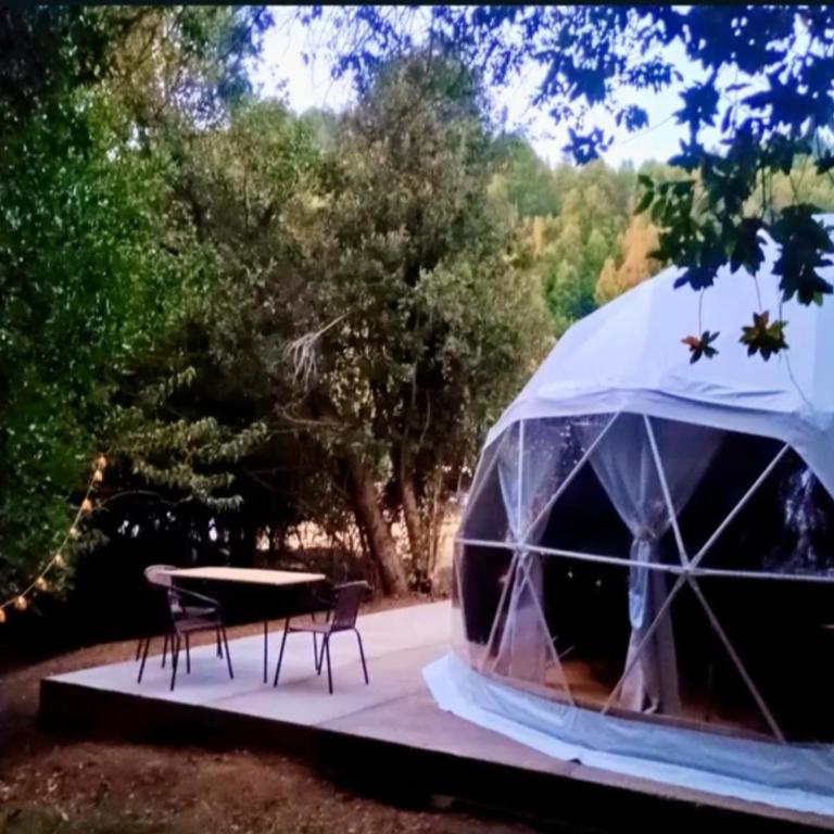 Domo Glamping en el bosque - Coñaripe - Tent - 3