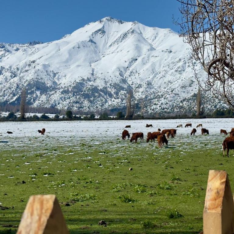 Bandurria Lodge - Superior Chalet - 30
