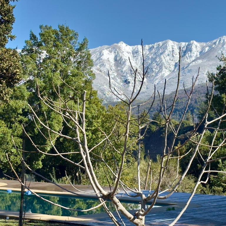 Bandurria Lodge - Superior Chalet - 34