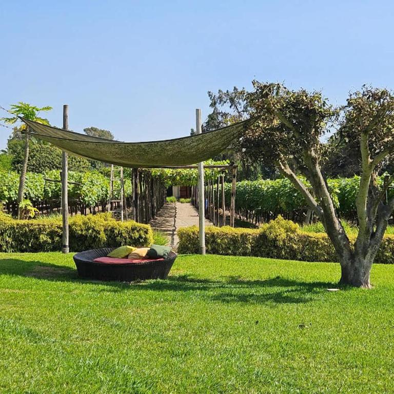 Spacious 4BR Country House with Pool in Mala - Vacation Home - 18