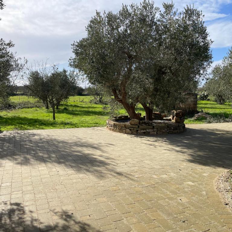 Villa DonnaMaria - Villa con Vista Giardino - 3