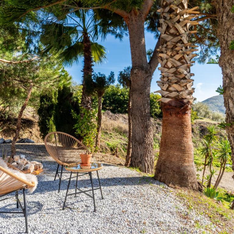 Villa la Paz in Cómpeta by TakeCareMalaga - Casa - 15
