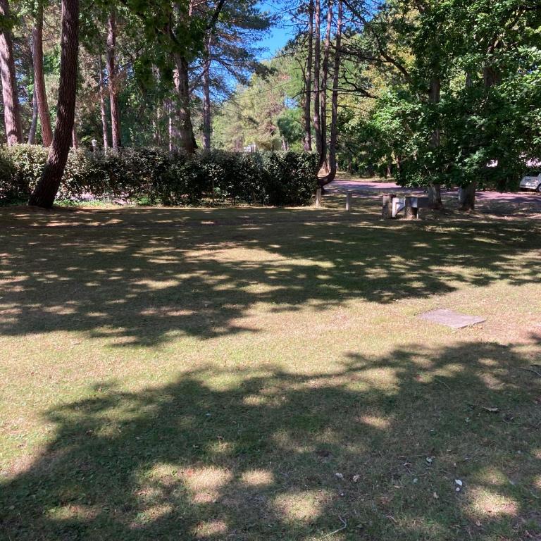 Les Terrasses Du Golf - Appartamento con 2 Camere da Letto - 7