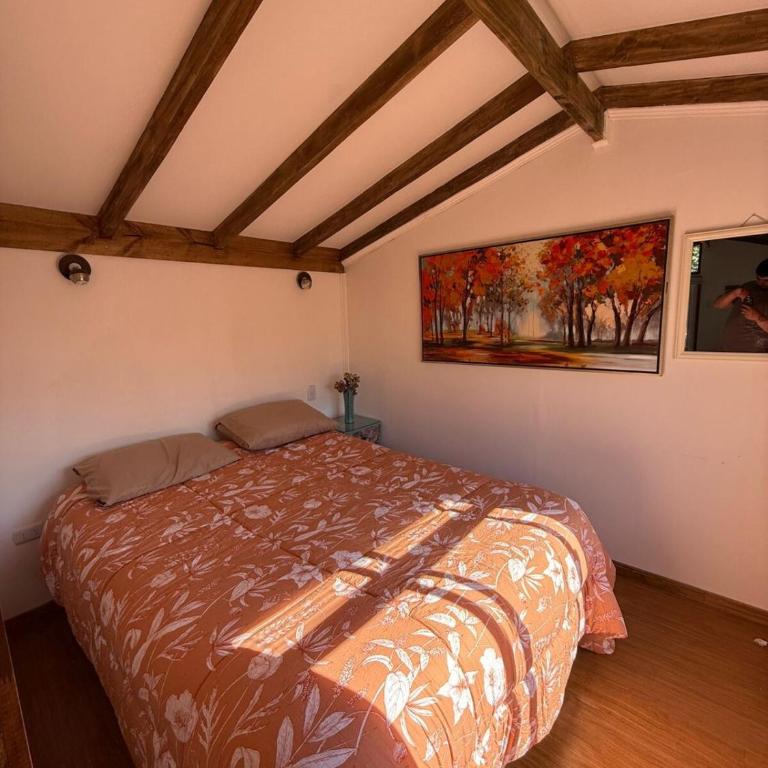 Tiny House Esmeralda - One-Bedroom Apartment - 5