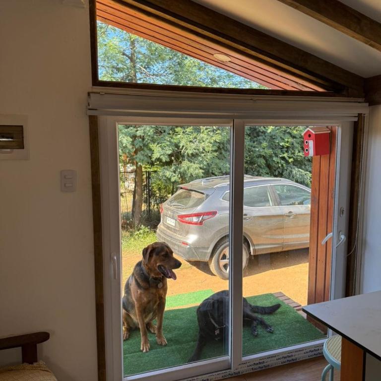 Tiny House Esmeralda - One-Bedroom Apartment - 17
