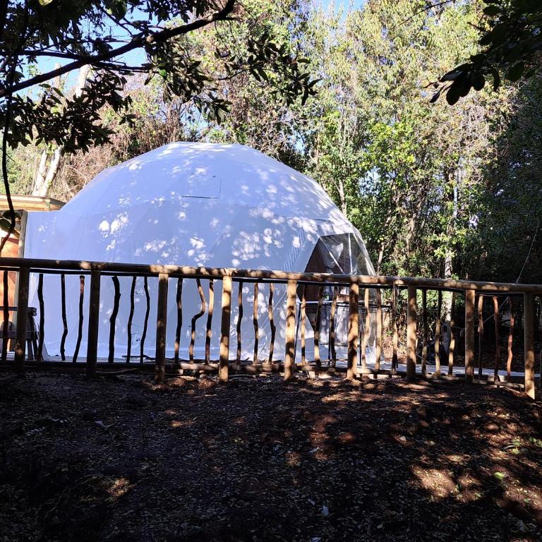 Domo Glamping en el bosque - Coñaripe - Tent - 5