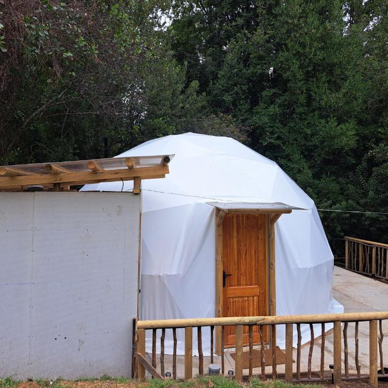 Domo Glamping en el bosque - Coñaripe - Tent - 9