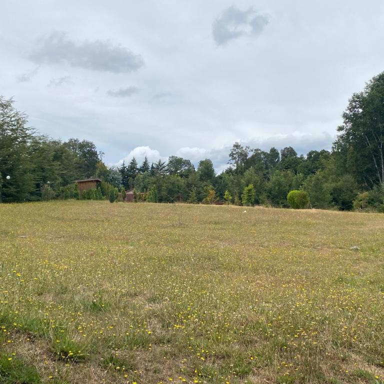 Arriendo por día casa en Villarrica - Casa de 3 dormitorios - 9