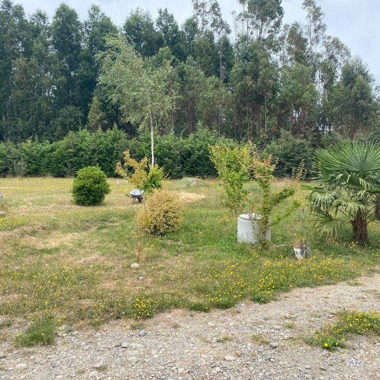 Arriendo por día casa en Villarrica - Casa de 3 dormitorios - 16