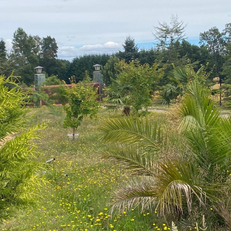 Arriendo por día casa en Villarrica - Casa de 3 dormitorios - 19