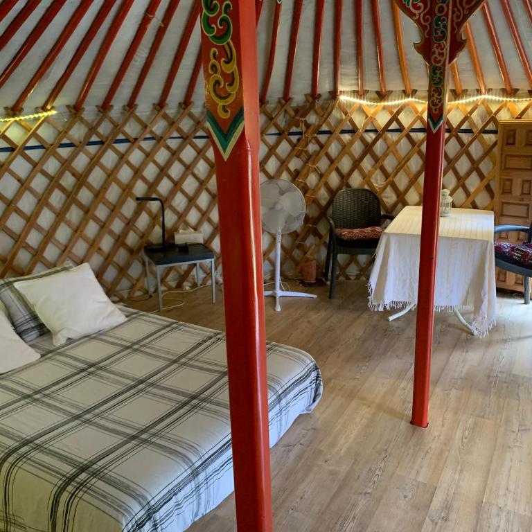 Yurta cerca de Madrid - Tent - 2