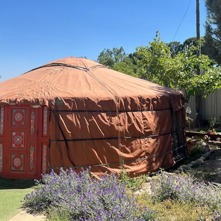 Yurta cerca de Madrid - Tent - 6