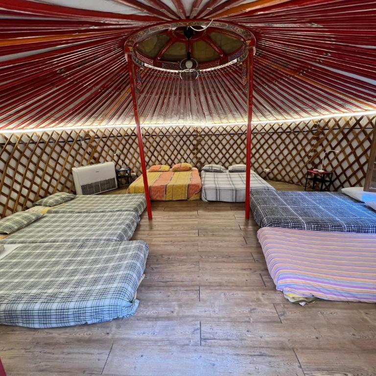 Yurta cerca de Madrid - Tent - 9