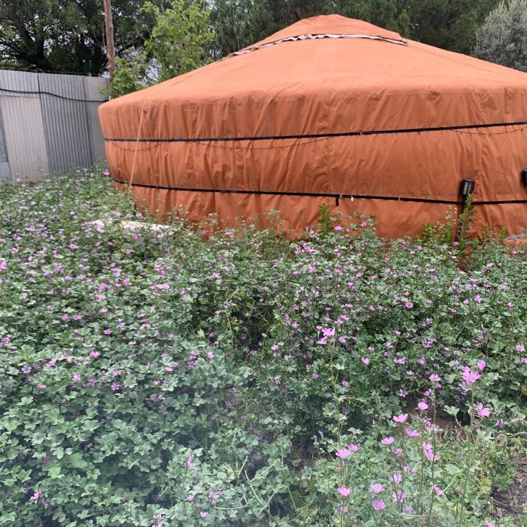 Yurta cerca de Madrid - Tent - 13