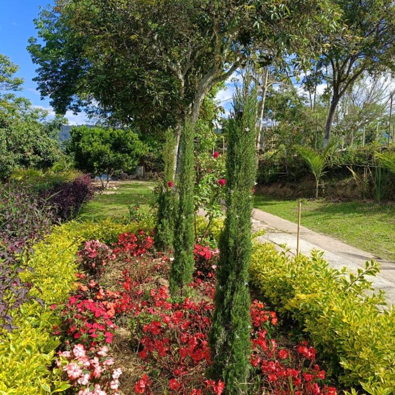 Casa Campestre con pisicina climatizada, Fusagasugá - Casa de 5 dormitorios - 53