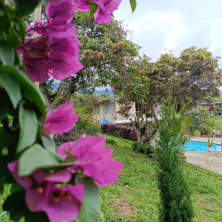 Casa Campestre con pisicina climatizada, Fusagasugá - Casa de 5 dormitorios - 40