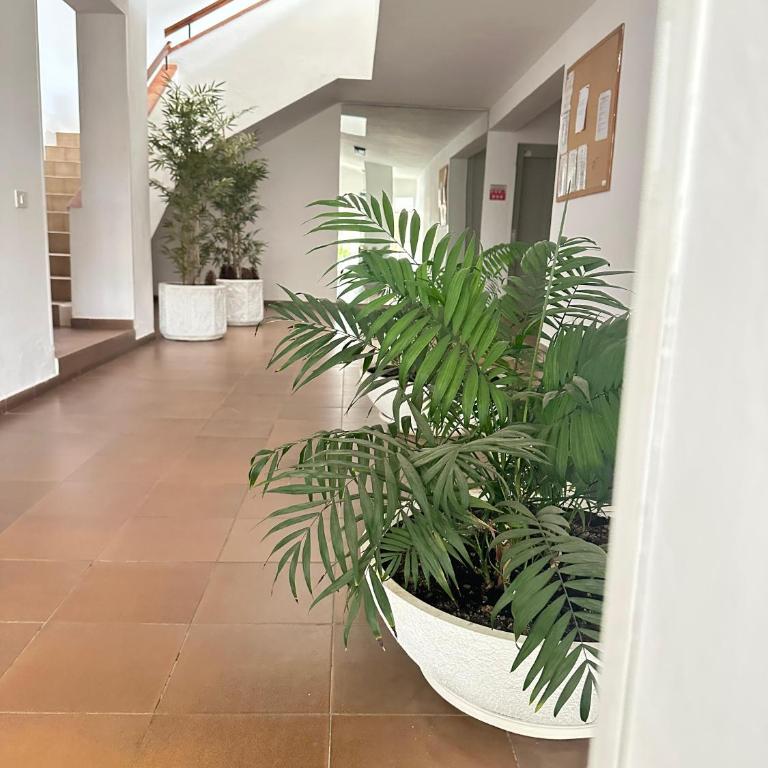 Panoramic Sea View Apartment - Apartamento - 15