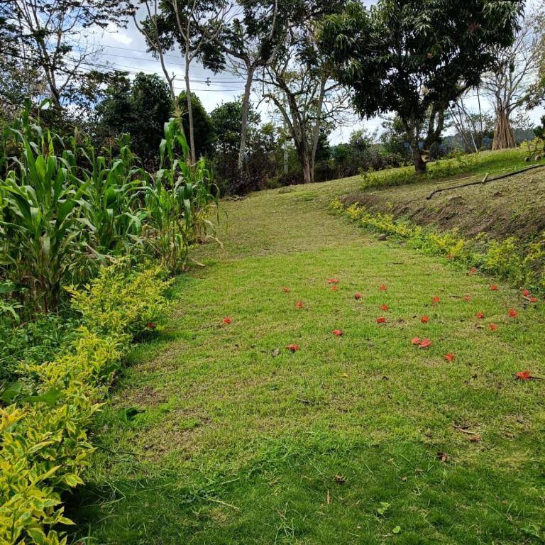 Casa Campestre con pisicina climatizada, Fusagasugá - Casa de 5 dormitorios - 13