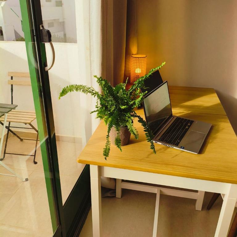 Casa Palmera - Apartamento de 1 dormitorio - 7
