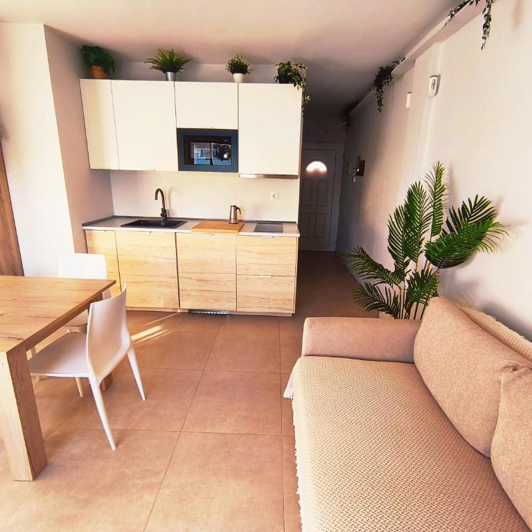 Casa Palmera - Apartamento de 1 dormitorio - 2