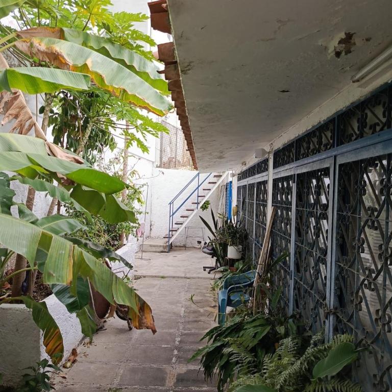 Anexo - One-Bedroom Apartment - 1