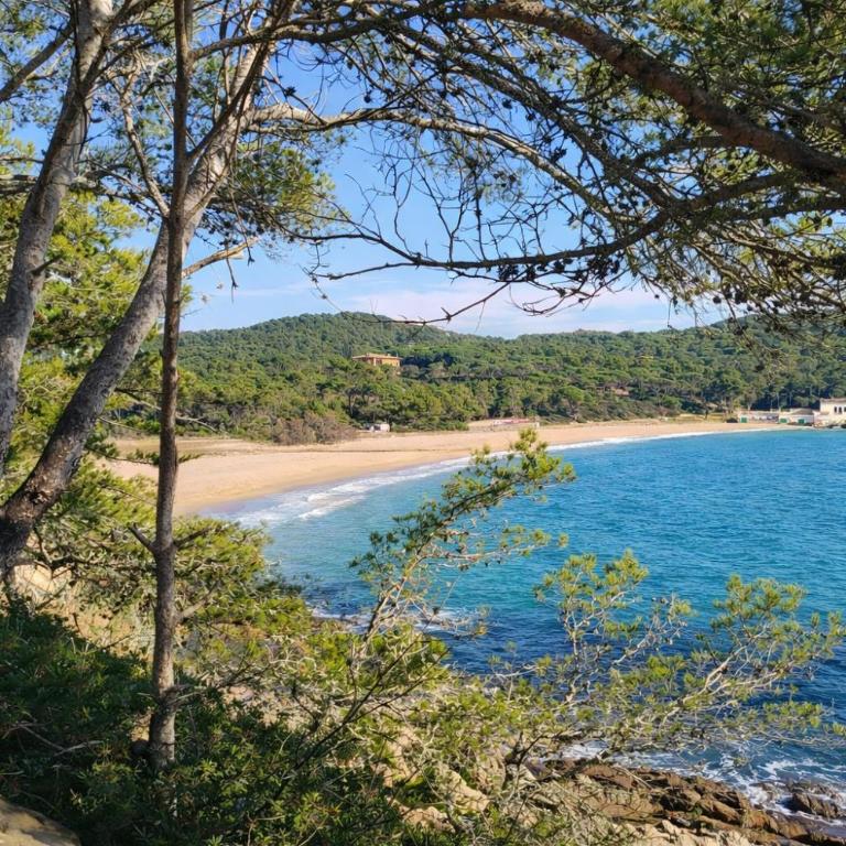 Casa Mediterránia de Palamós amb piscina privada - Casa Unifamiliar de 3 dormitorios - 45