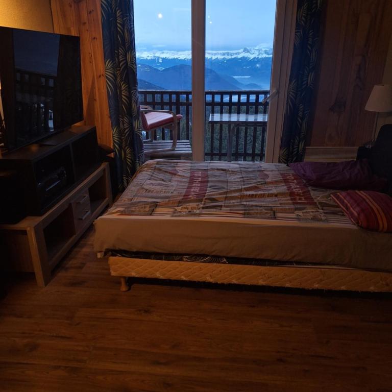 appartement 1650, vue imprenable sur la vallée, 50 m des pistes, 40 m2 - Two-Bedroom Apartment - 1