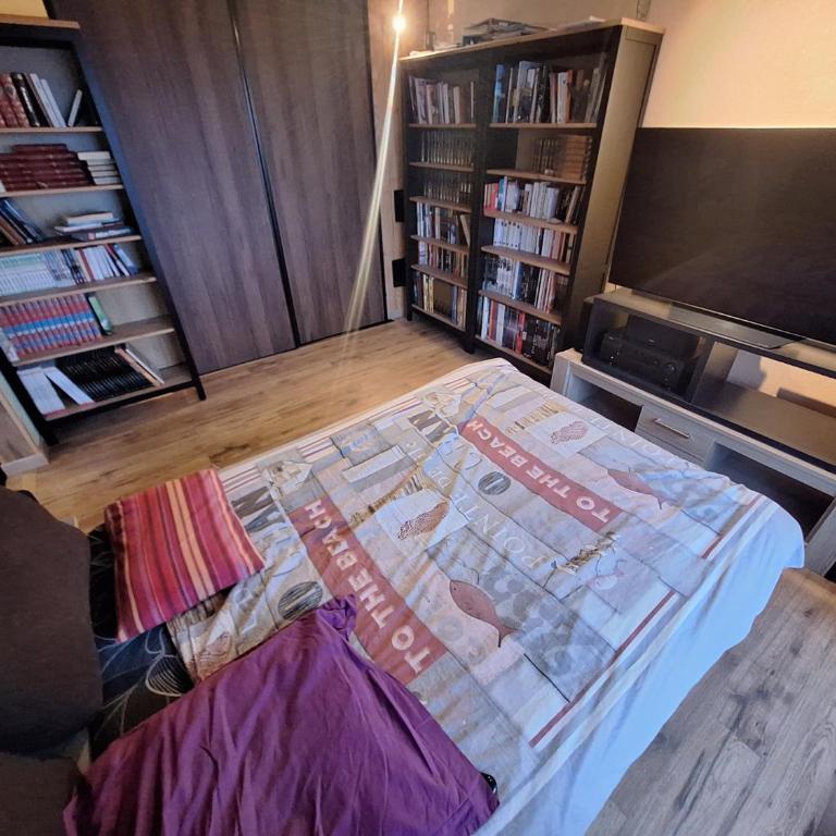 appartement 1650, vue imprenable sur la vallée, 50 m des pistes, 40 m2 - Two-Bedroom Apartment - 7