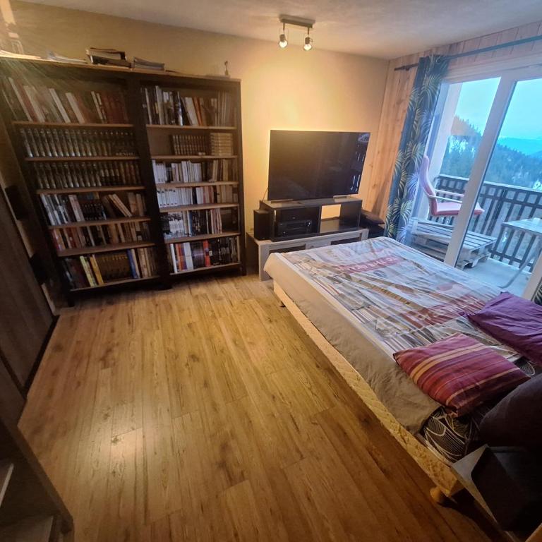 appartement 1650, vue imprenable sur la vallée, 50 m des pistes, 40 m2 - Two-Bedroom Apartment - 10