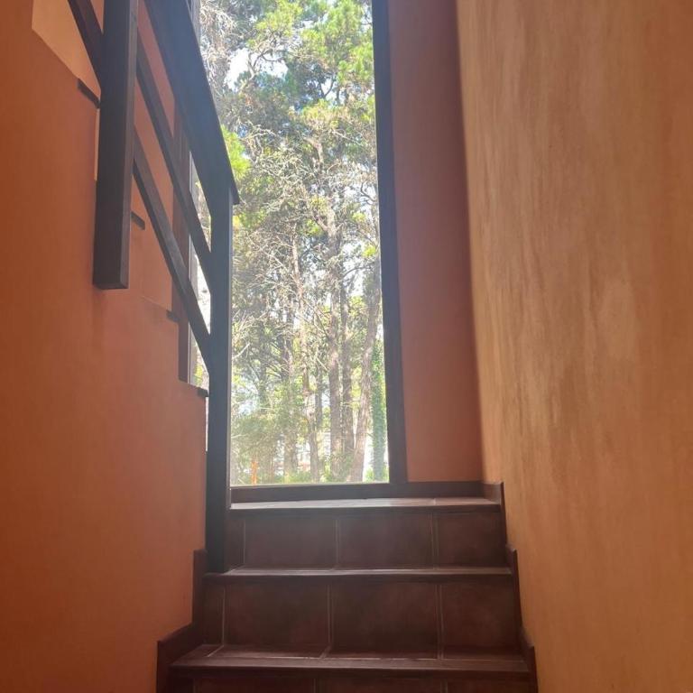 La casa del bosque - Casa de 3 dormitorios - 2