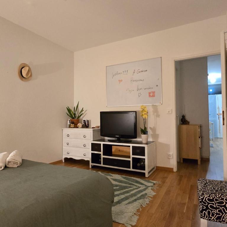 welcome geneva - Chambre Double avec Salle de Bains Commune - 5