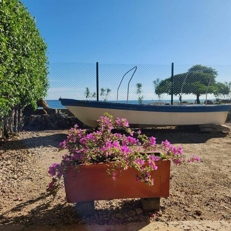 Suemar Cabaña de Playa en Isla de Tierra Bomba - Two-Bedroom House - 34